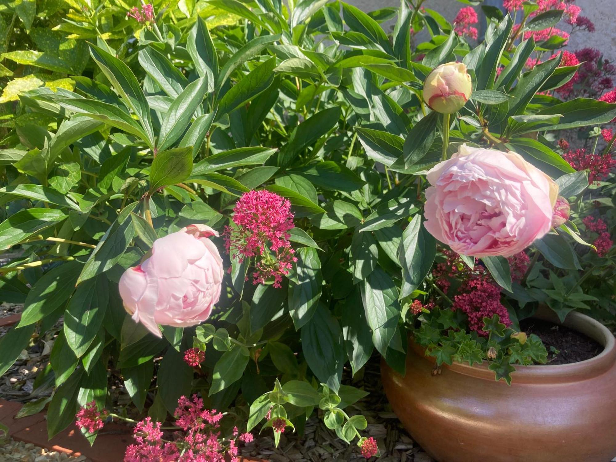 Logis Cote Jardin Villa Varennes-les-Narcy Kültér fotó